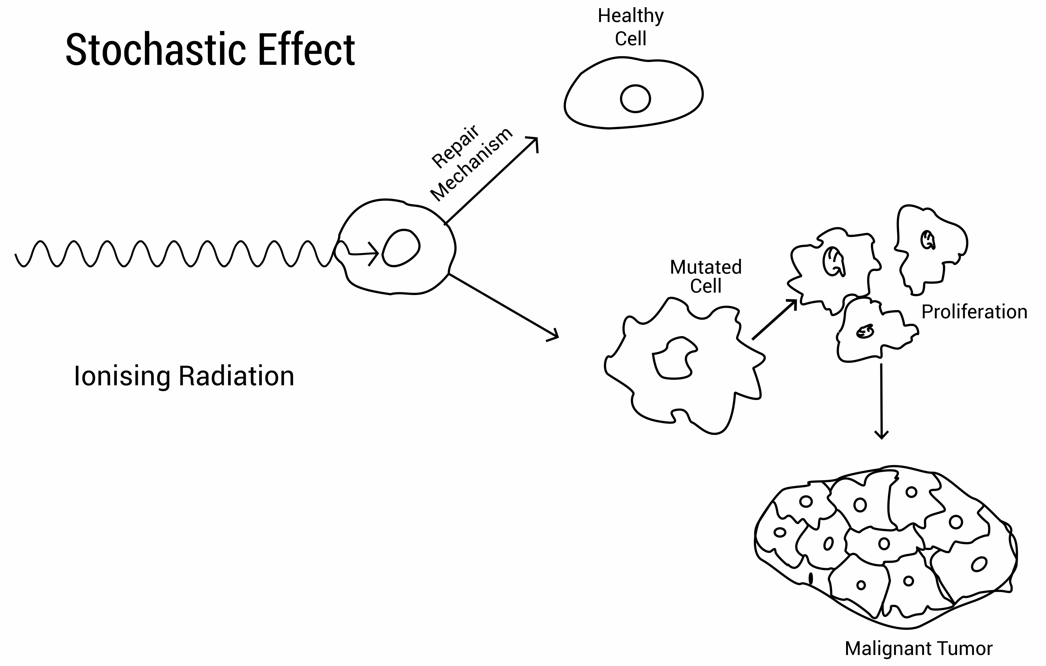 Stochastic Effect